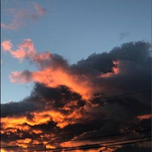 Meet your Posher, Bella